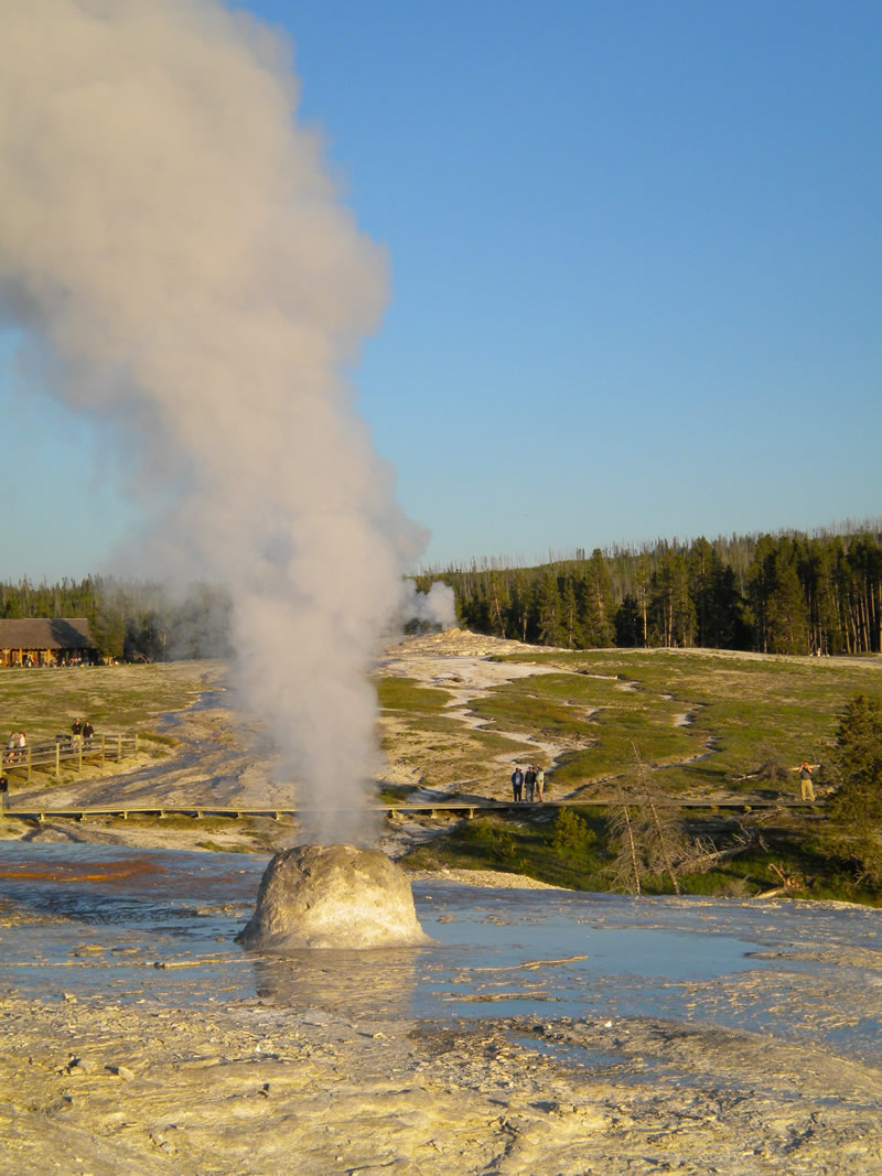 Yellowstone NP